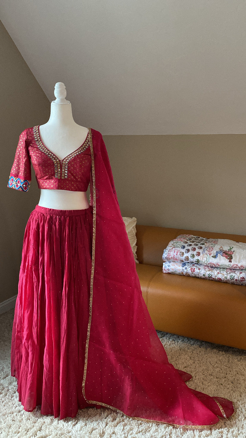 Festive Lehenga (2 color options)